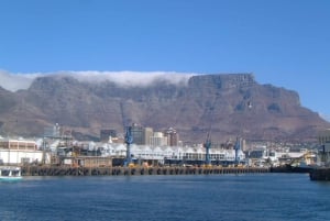 Cidade do Cabo: Robben Island Discovery Tour com embarque no hotel