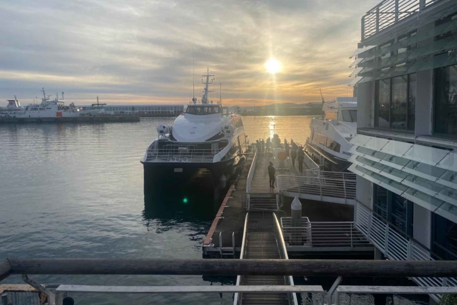 Билет на паром Кейптаун-Роббен Айленд и экскурсия в тюрьму с гидом