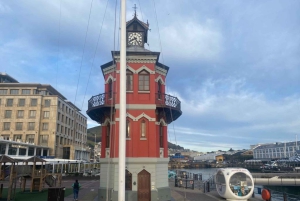 Билет на паром Кейптаун-Роббен Айленд и экскурсия в тюрьму с гидом