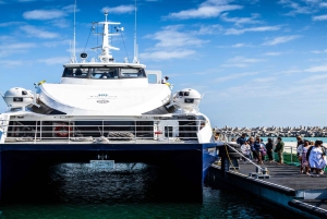 Билет на паром Кейптаун-Роббен Айленд и экскурсия в тюрьму с гидом