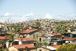 Città del Capo: biglietto del traghetto per Robben Island e tour delle township