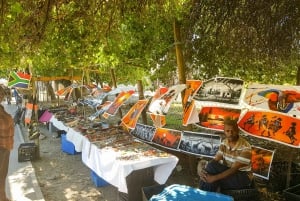 Città del Capo: biglietto del traghetto per Robben Island e tour delle township