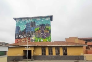 Città del Capo: biglietto del traghetto per Robben Island e tour delle township