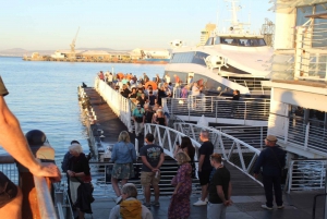 Le Cap : billet de ferry pour Robben Island et visite guidée