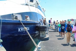 Città del Capo: Biglietto per il traghetto per Robben Island più tour guidato