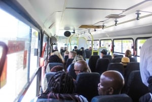 Kapsztad: Bilet na prom na wyspę Robben plus wycieczka z przewodnikiem