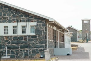 Città del Capo: Tour in traghetto di Robben Island con servizio di prelievo in hotel di 1 sola andata