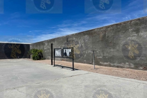 Cape Town: Robben Island Ferry with Prison Ticket and Tour