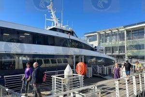 Cape Town: Robben Island Ferry with Prison Ticket and Tour