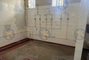 Cape Town: Robben Island Ferry with Prison Ticket and Tour