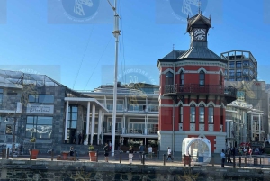 Cape Town: Robben Island Ferry with Prison Ticket and Tour