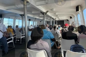 Cape Town: Robben Island Ferry with Prison Ticket and Tour