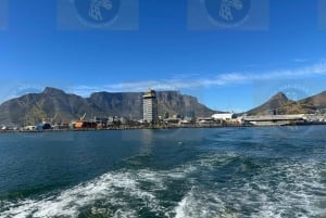 Cape Town: Robben Island Ferry with Prison Ticket and Tour