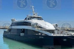 Cape Town: Robben Island Ferry with Prison Ticket and Tour