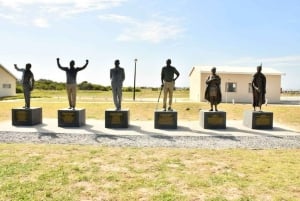 كيب تاون: عبارة جزيرة روبن مع تذكرة السجن والجولة