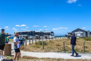 Cape Town: Robben Island Guided Tour, Skip the Ticketing Line