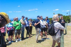 Cape Town: Robben Island Guided Tour, Skip the Ticketing Line