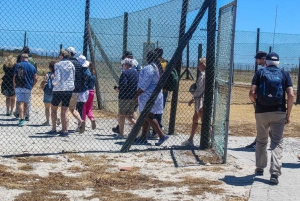 Cape Town: Robben Island Guided Tour, Skip the Ticketing Line