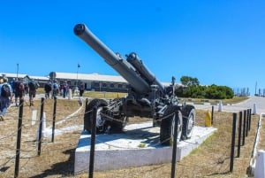 Cape Town: Robben Island Guided Tour, Skip the Ticketing Line