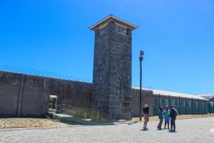 Cape Town: Robben Island Guided Tour, Skip the Ticketing Line