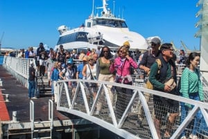 Cape Town: Robben Island Guided Tour ticket & guided tour