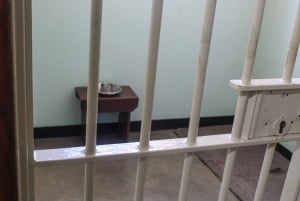 Cape Town: Robben Island Guided Tour ticket & guided tour