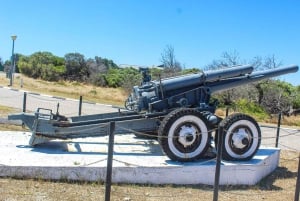 Cape Town: Robben Island Guided Tour ticket & guided tour