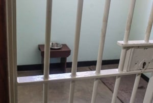 Cape Town: Robben Island Guided Tour ticket & guided tour