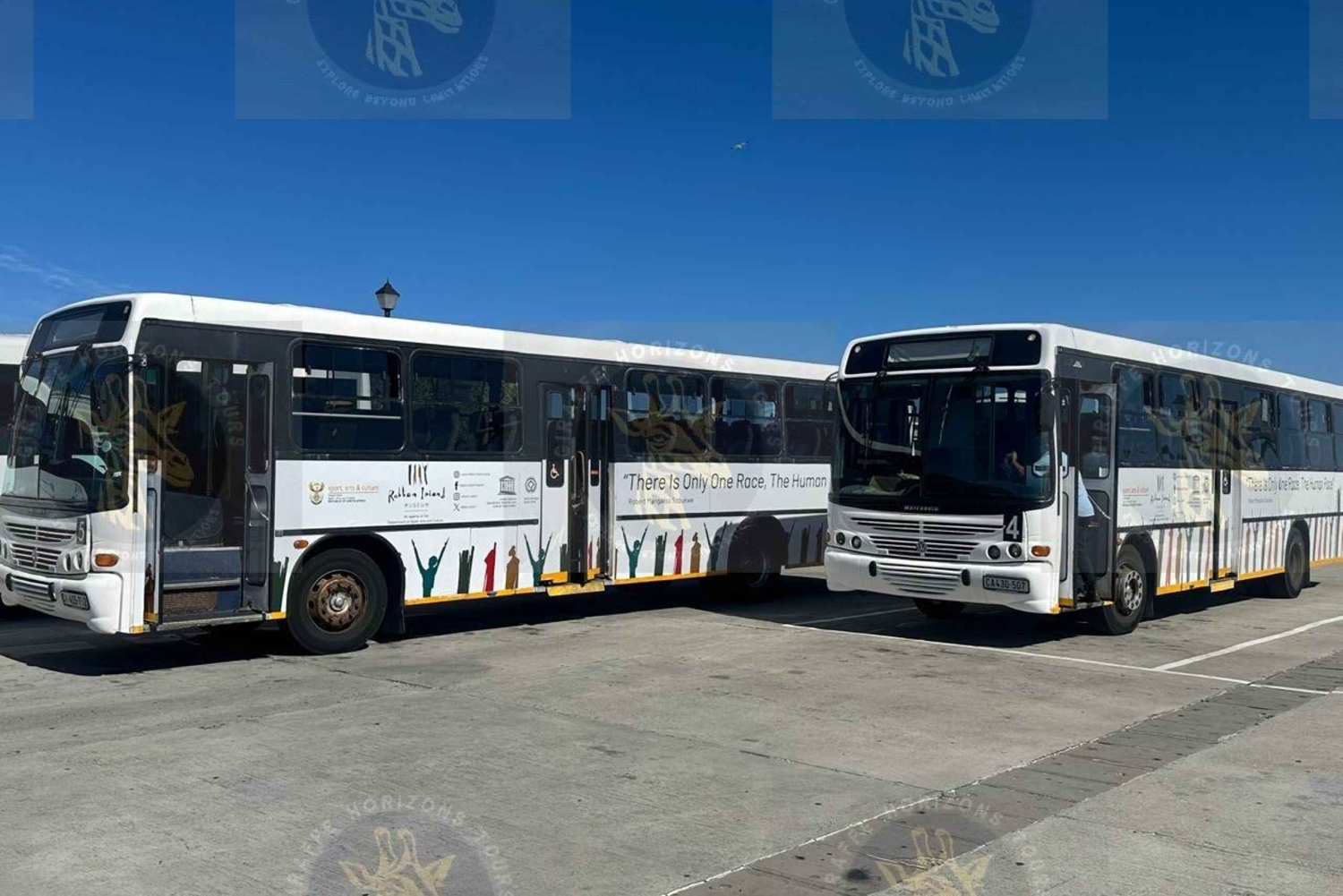 Cape Town: Halvdagstur til Robben Island med forhåndsbestilt billett