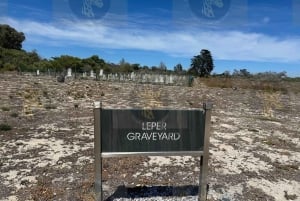 Cape Town: Robben Island Half-Day Tour w/ Pre-Booked Ticket