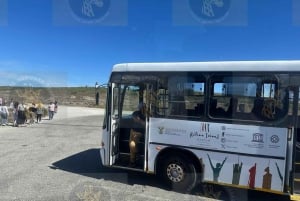 Cape Town: Robben Island Half-Day Tour w/ Pre-Booked Ticket