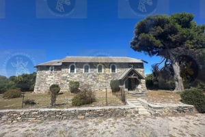 Cape Town: Halvdagstur til Robben Island med forhåndsbestilt billett