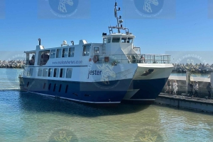 Cape Town: Halvdagstur til Robben Island med forhåndsbestilt billett