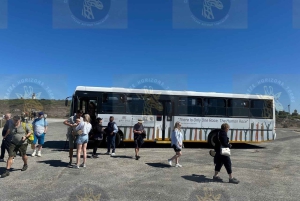 Cape Town: Halvdagstur til Robben Island med forhåndsbestilt billett