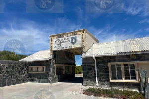 Cape Town: Halvdagstur til Robben Island med forhåndsbestilt billett