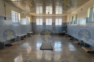 Cape Town: Halvdagstur til Robben Island med forhåndsbestilt billett