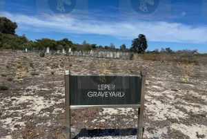 Cape Town: Halvdagstur til Robben Island med forhåndsbestilt billett