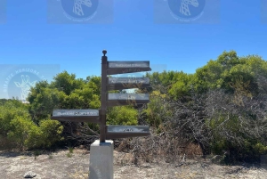 Cape Town: Halvdagstur til Robben Island med forhåndsbestilt billett
