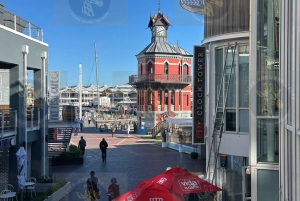 Cape Town: Halvdagstur til Robben Island med forhåndsbestilt billett