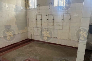 Cape Town: Halvdagstur til Robben Island med forhåndsbestilt billett