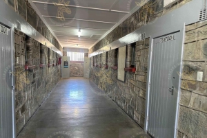 Cape Town: Halvdagstur til Robben Island med forhåndsbestilt billett