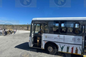 Cape Town: Halvdagstur til Robben Island med forhåndsbestilt billett