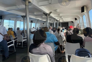 Cape Town: Halvdagstur til Robben Island med forhåndsbestilt billett