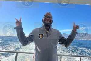 Cape Town: Halvdagstur til Robben Island med forhåndsbestilt billett