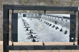 Cape Town: Halvdagstur til Robben Island med forhåndsbestilt billett