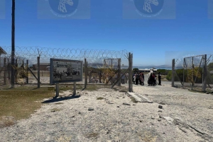 Cape Town: Halvdagstur til Robben Island med forhåndsbestilt billett