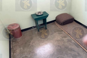 Cape Town: Halvdagstur til Robben Island med forhåndsbestilt billett