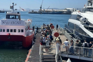 Kapstaden: Robben Island Halvdagsutflykt med inträdesbiljetter