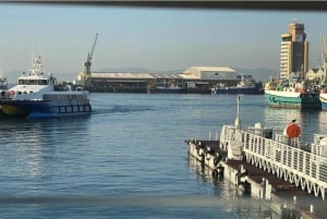 Kapstaden: Halvdagstur till Robben Island med inträdesbiljetter