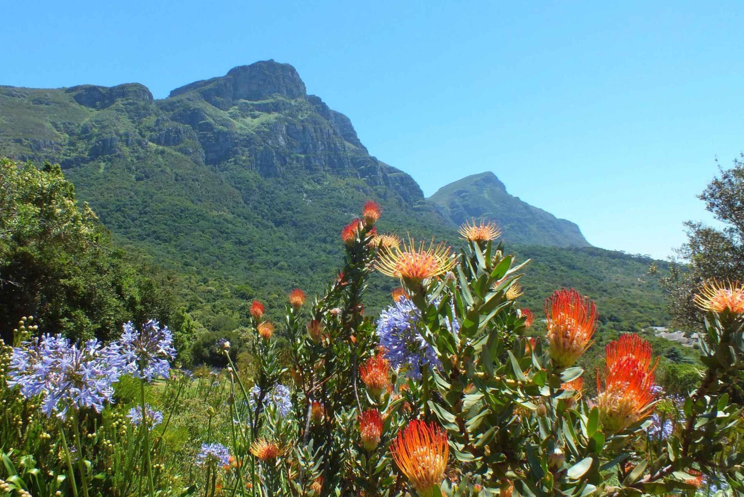 Cape Town: Robben Island, Kirstenbosch Garden og vinsmagning